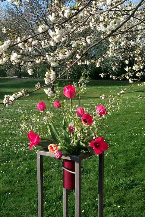 Blumenarrangement unter der Baumblte im Britzer Garten.