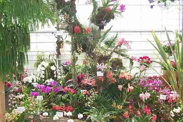 In der Blumenhalle - Landesgartenschau 2009