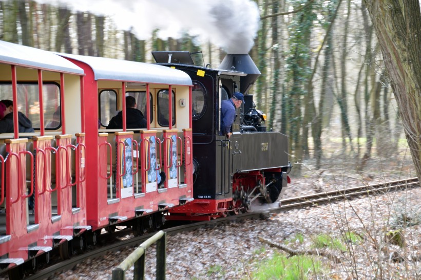 Fahrt mit der Cottbusser Parkeisenbahn.