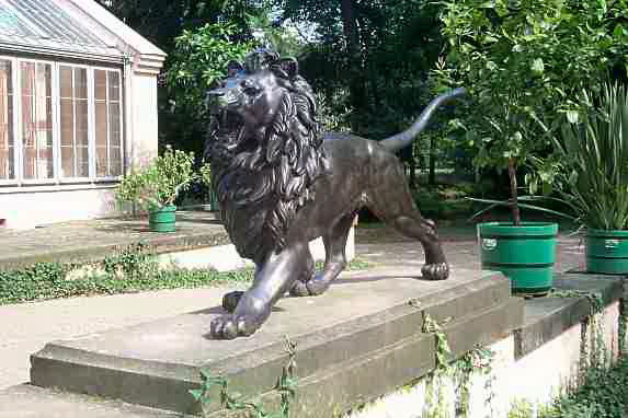 Löwe vor der Gärtnerei