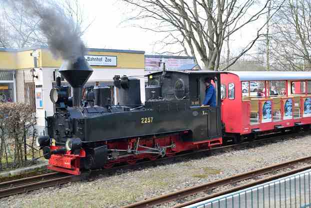 Dampflok_Cottbuser_Parkeisenbahn