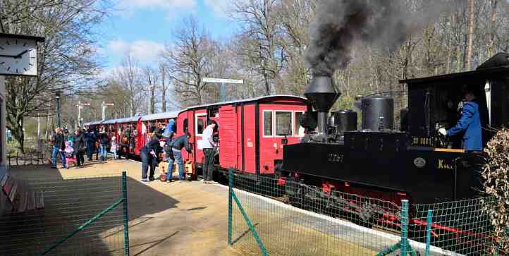 Der Zug mit restaurirten Dampflok der Cottbuser Parkeisenbahn.