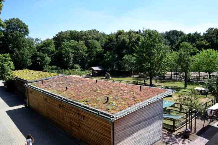 Tierstlle im Gutshof Britz